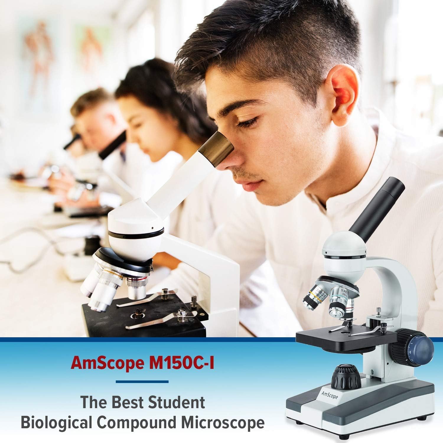 AmScope M150C-I 40X-1000X All-Metal Optical Glass Lenses Cordless LED Student Biological Compound Microscope Pack of 2