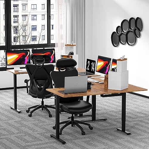 Upgrade Version 63 * 55 inch L Shaped Electric Adjustable Height Standing Desk, Corner Stand Up Desk, Sit Stand Computer L Desk for Gaming Office