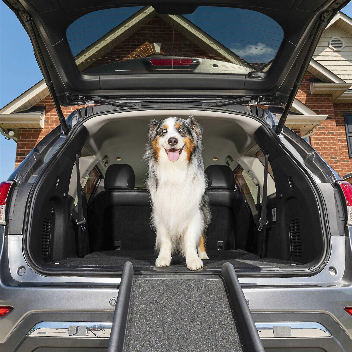 PetSafe Happy Ride Folding Pet Ramp - Pet Supplies online store