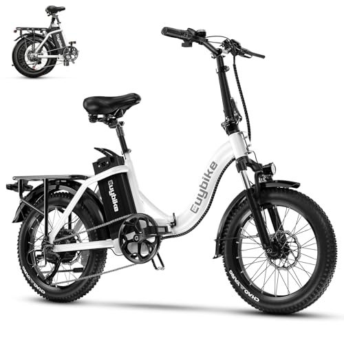 1000W Folding Electric Bike 80 Miles Max Range,30+MPH,48V20A Removable Lithium-Battery,20" Foldable All Terrain Electric Bicycle,with Pedal-Assist & LCD Display,Suitable for Leisure Riding & Commuting