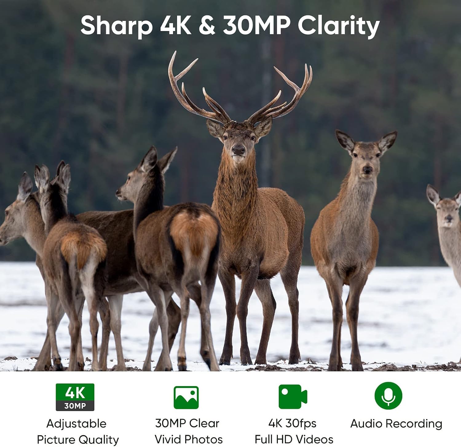 4K 30MP WiFi Trail Camera, Bluetooth APP Control 940nm No Glow Night Vision Hunting Game Camera 3 PIR 120° Wide 65ft Trigger IP66 Waterproof 2.4”LCD Screen for Wildlife Monitoring