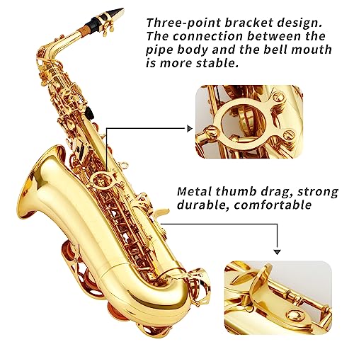 LeSage Alto Saxphone E Flat Black Saxophone for Beginners Student Alto Sax With Carrying Sax Case Adult Saxofon Alto Saxaphone Music Instrument