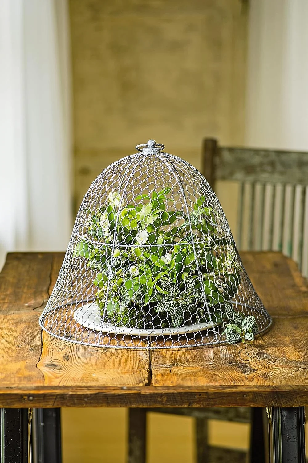 Sturdy Chicken Wire Cloche Plant Protector & Cover | Sturdy Metal Cage Garden Protection for Your Plants and Seedlings | 16" in Diameter x 12-1/2" H - (Set of 6)
