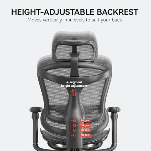 SIHOO Doro C300 Ergonomic Office Chair with Ultra Soft 3D Armrests, Dynamic Lumbar Support for Home Office Chair, Adjustable Backrest Desk Chair, Swivel Big and Tall Office Chair, Computer Chair Grey