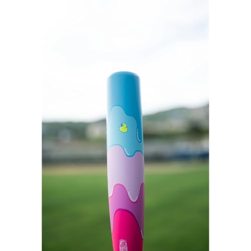 Easton | 2025 | Hype FIRE Baseball Bat | USSSA | -5 / -8 / -10 Drop | 2 3/4" Barrel | 2 Pc. Composite