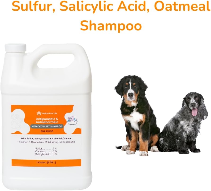 Lime Sulfur Dip and Antiparasitic & Antiseborrheic Sulfur Salicylic Acid Dog Shampoo- 1 Gallon Each - Safe Solution for Itchy Skin, Hot Spots, Yeast & Mange - Healthy Paw Life
