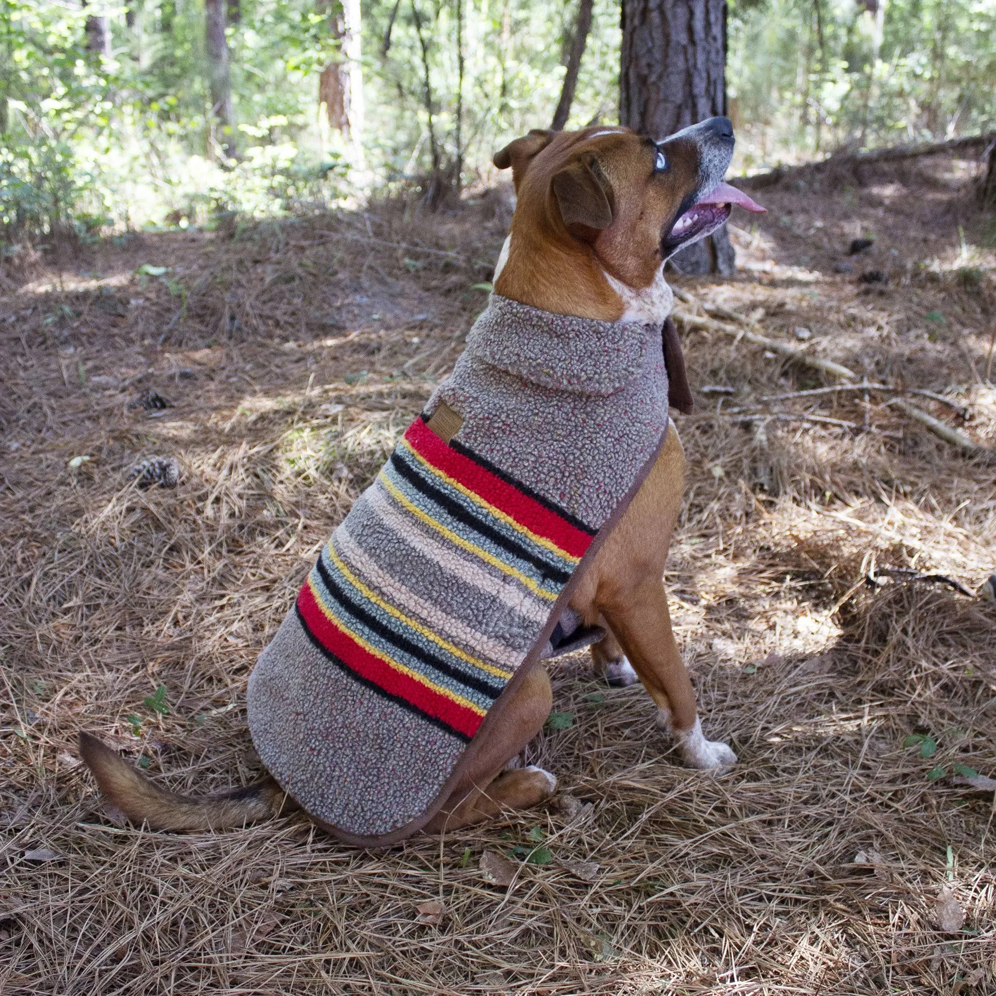 Pendleton Yakima Camp Dog Coat, Umber, Medium