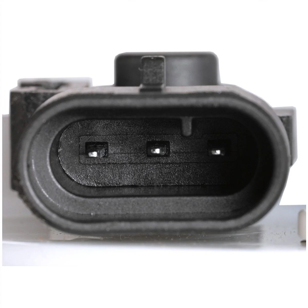 Fuel Pump Module Assembly