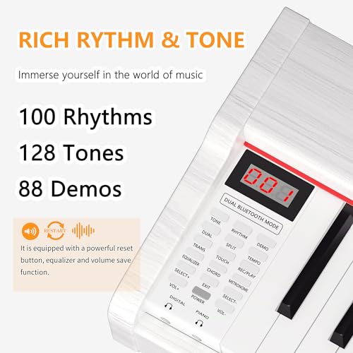 88 Key Fully Weighted Electric Piano Keyboard Hammer Action Full-size Digital Pianos for Beginners Adults Wooden Upright Piano with Sheet Music Stand Triple Pedal, Supports USB-MIDI Black