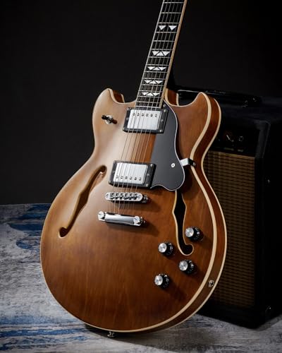 WestCreek 333 Electric Guitar with 6 String, Semi Hollow Body Jazz Electric Guitar, Humbucker Pickups, Rosewood Fretboard, Rounded End Jumbo Frets, Full size