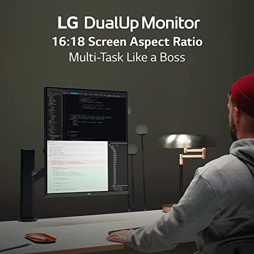 LG DualUp Monitor
