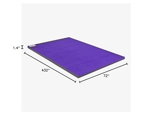 IncStores Cheer Mat | Rollout Gymnastics Mat with a Grippy Gym Carpet Top | Portable Cheerleading Gym Mats for Home Workout and Practice
