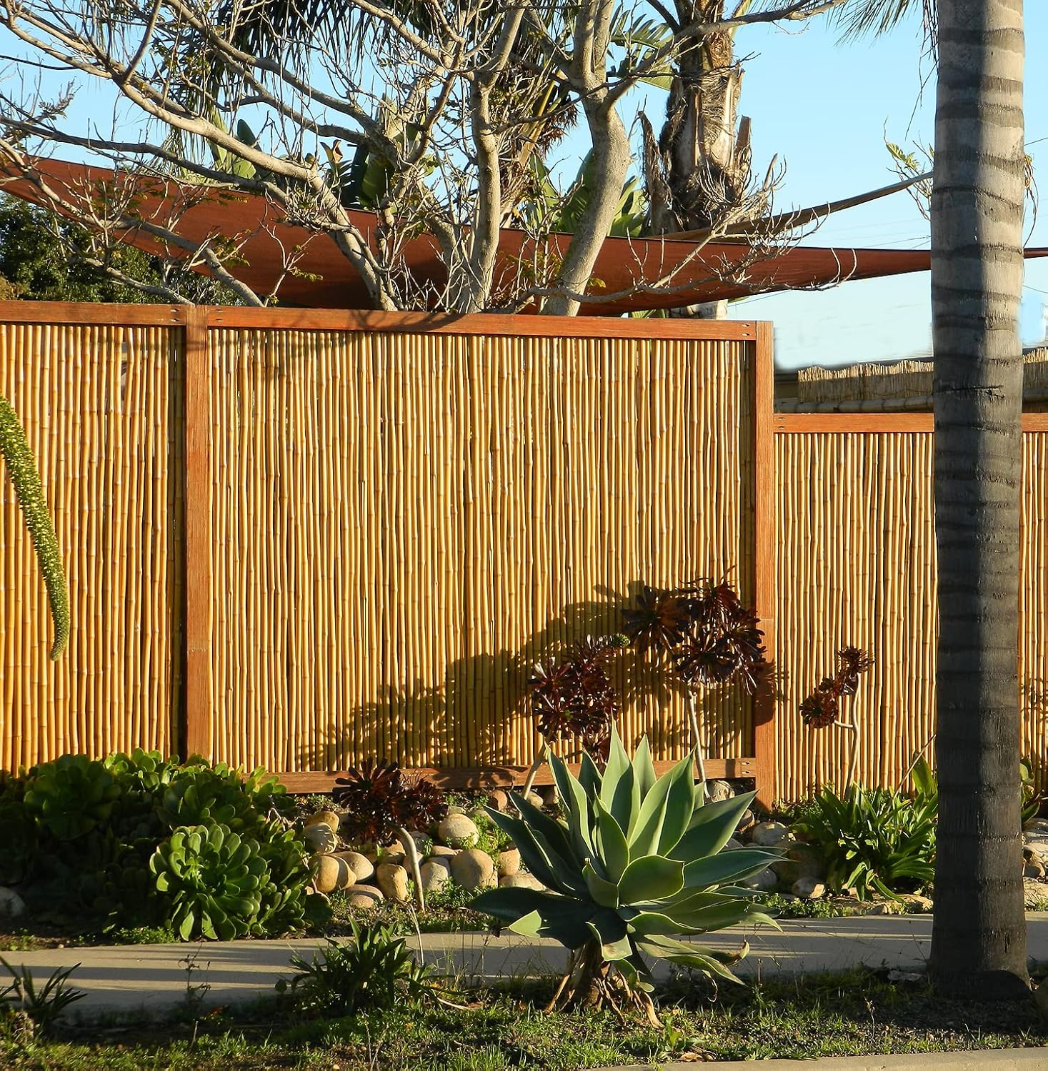 Backyard X-Scapes Natural Bamboo Fencing Decorative Rolled Fence Panel 0.75 in D x 6 ft H x 8 ft L