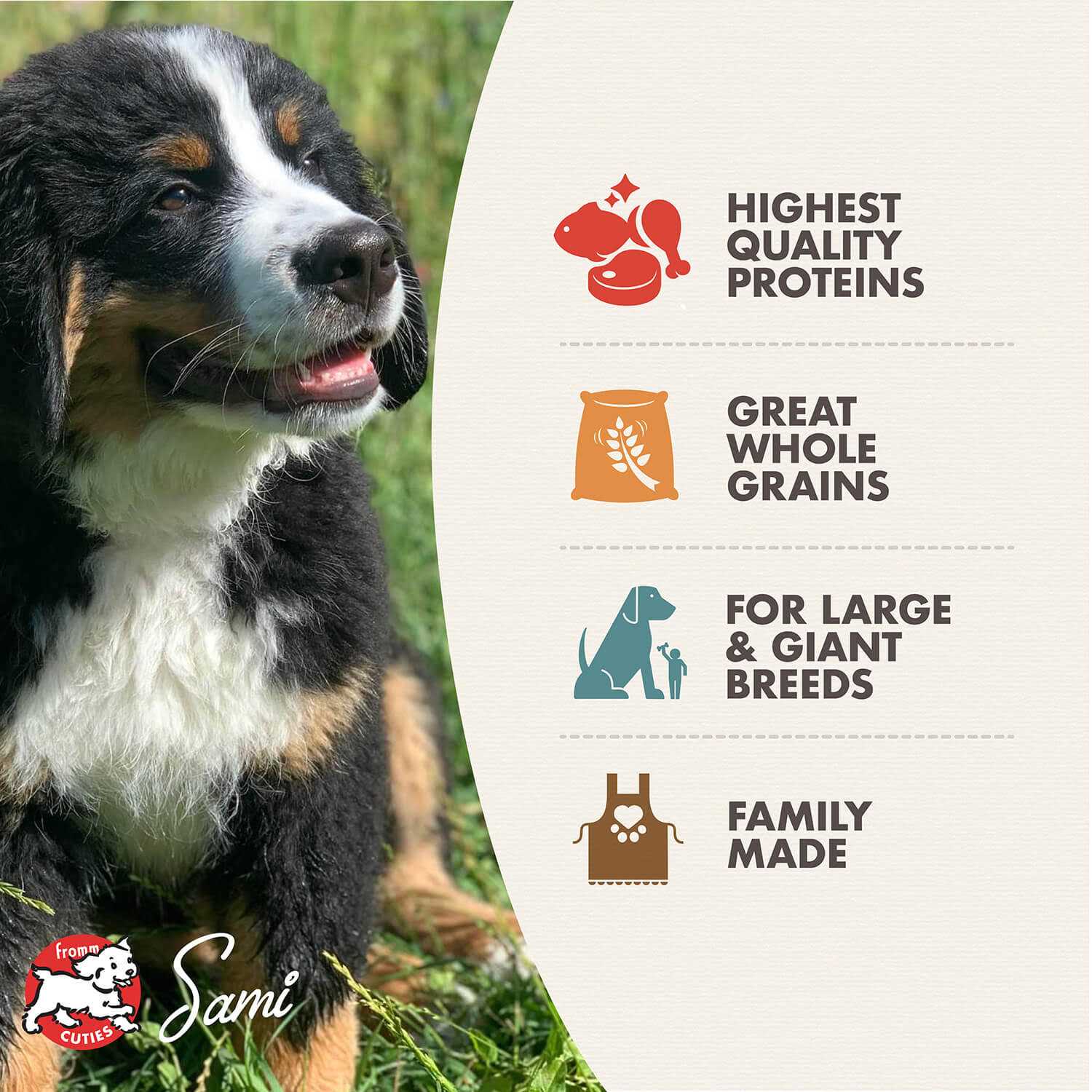 Fromm Gold Dry Dog Food Large Breed Puppy - Pet Supplies online store