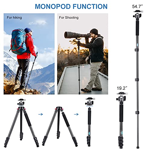 Carbon Fiber Tripod,Lightweight Portable Travel Tripod with Low Profile Ball Head with 1/4" Quick Release Plate Compatible with Camera Max Load 22lbs…