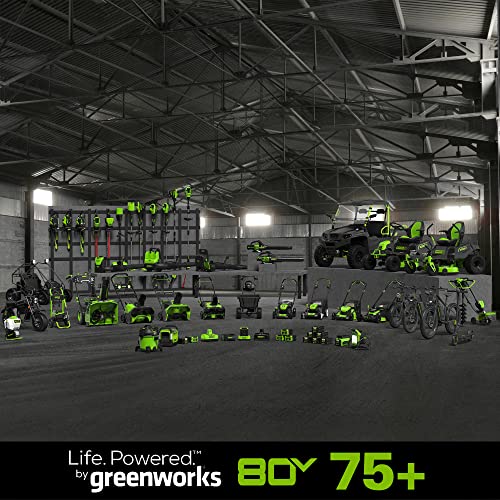 Greenworks Pro 21-Inch 80V Self-Propelled Cordless Lawn Mower, Tool-Only, MO80L00