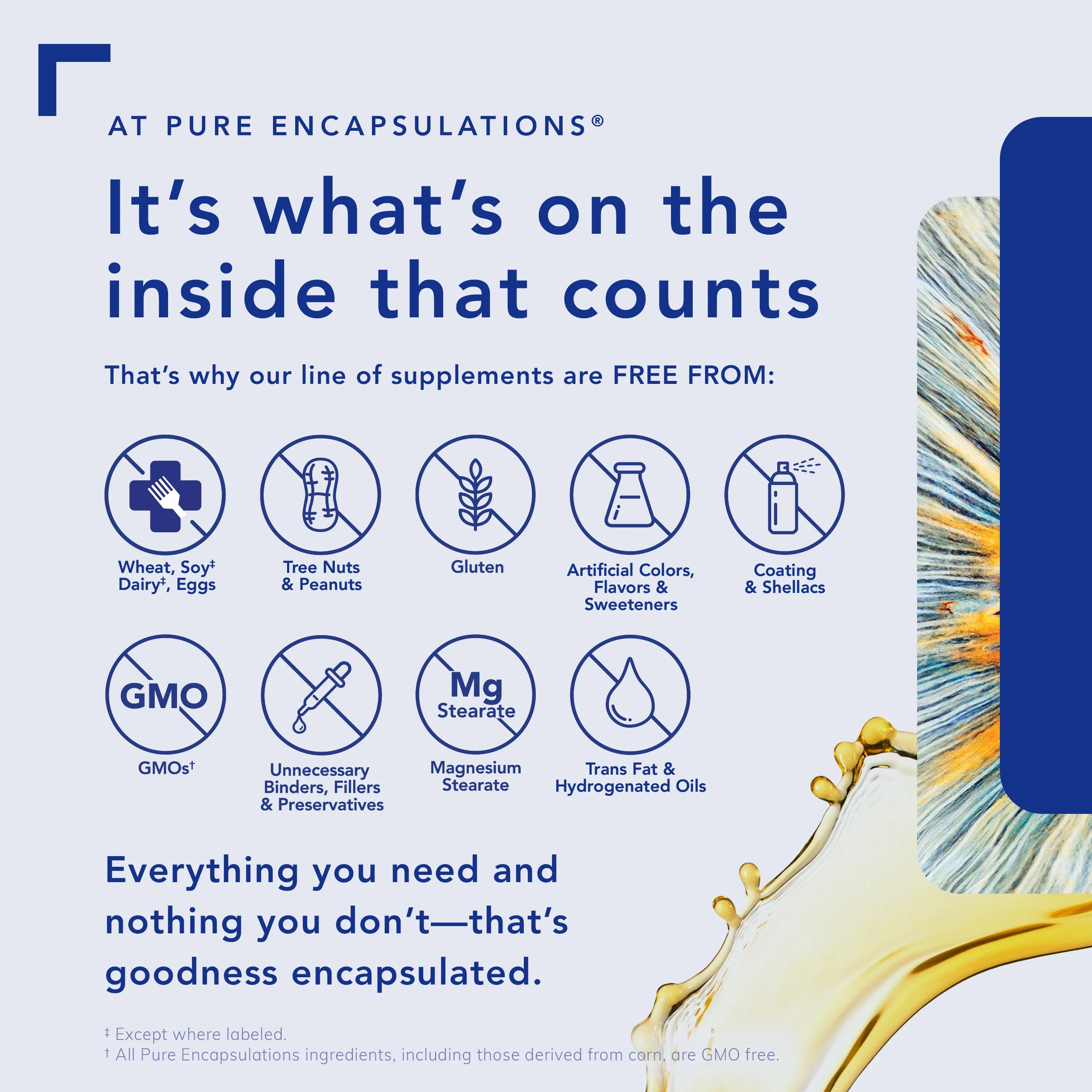 Pure Encapsulations Nutrient 950 without Iron | Supplement to Support Cardiovascular, Immune, and Cellular Health, Bones, Hormone Metabolism, and Carbohydrate Utilization* | 360 Capsules