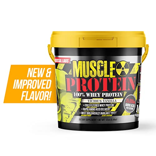 Muscle Protein Whey Powder [12 lbs/Pack of 1]–Chocolate Protein Powder, Cold Filtered, 25g Pure Protein, 6.6g BCAAs (Packaging May Vary)