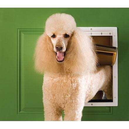 PetSafe Extreme Weather Pet Door