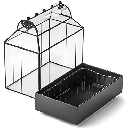 H Potter Barrel Roof Wardian Case Terrarium Container