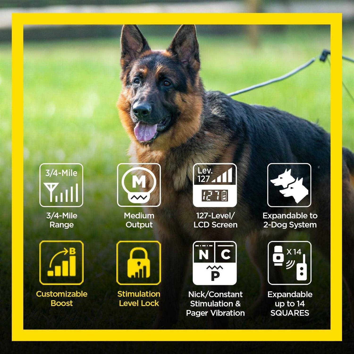 Dogtra ARC Handsfree Plus Boost &amp; Lock - Pet Supplies online store