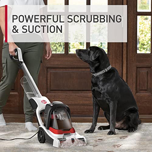 Hoover PowerDash Pet Compact Carpet Cleaner, Shampooer Machine, Lightweight
