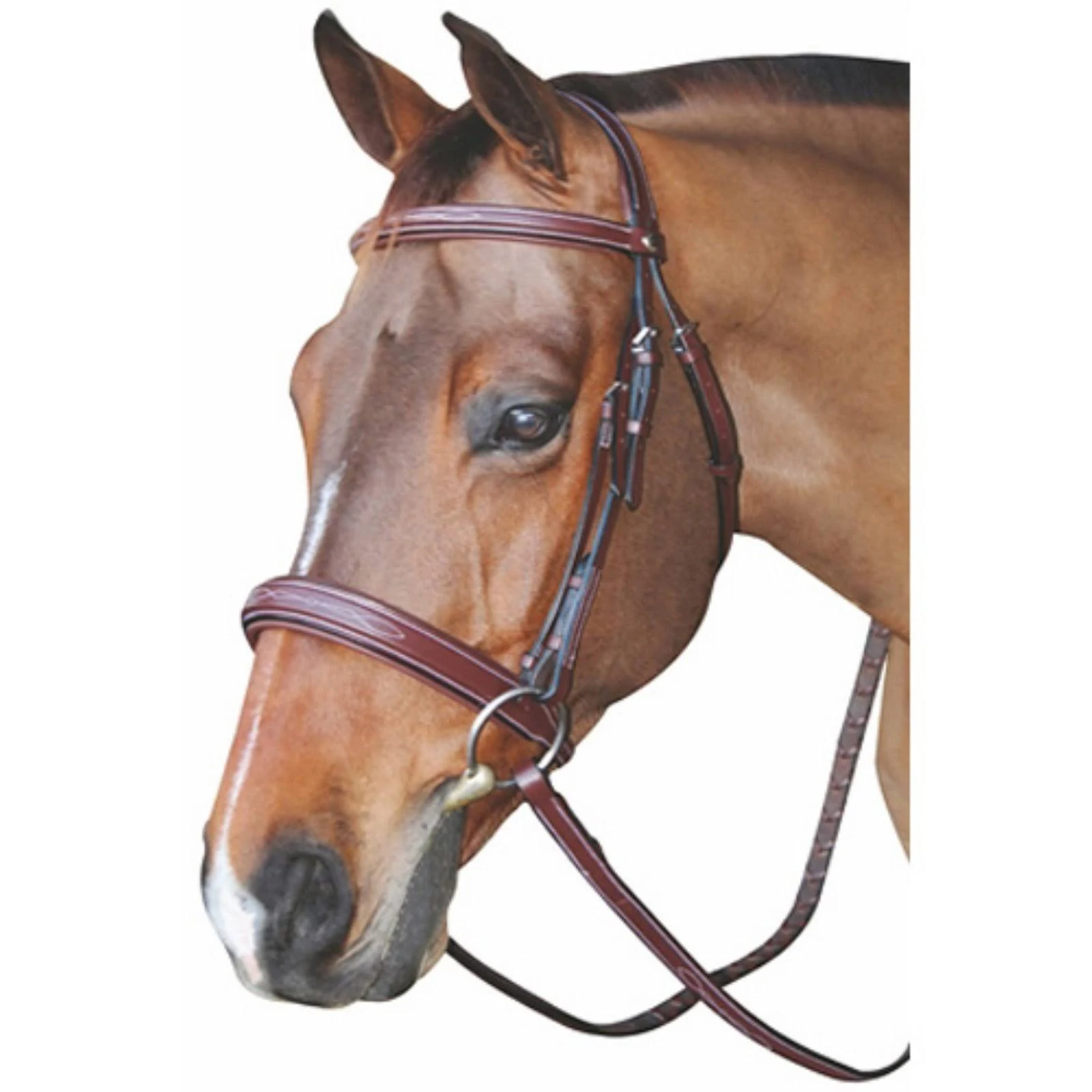 Henri De Rivel Mono Crown Bridle with Padded Wide Noseband