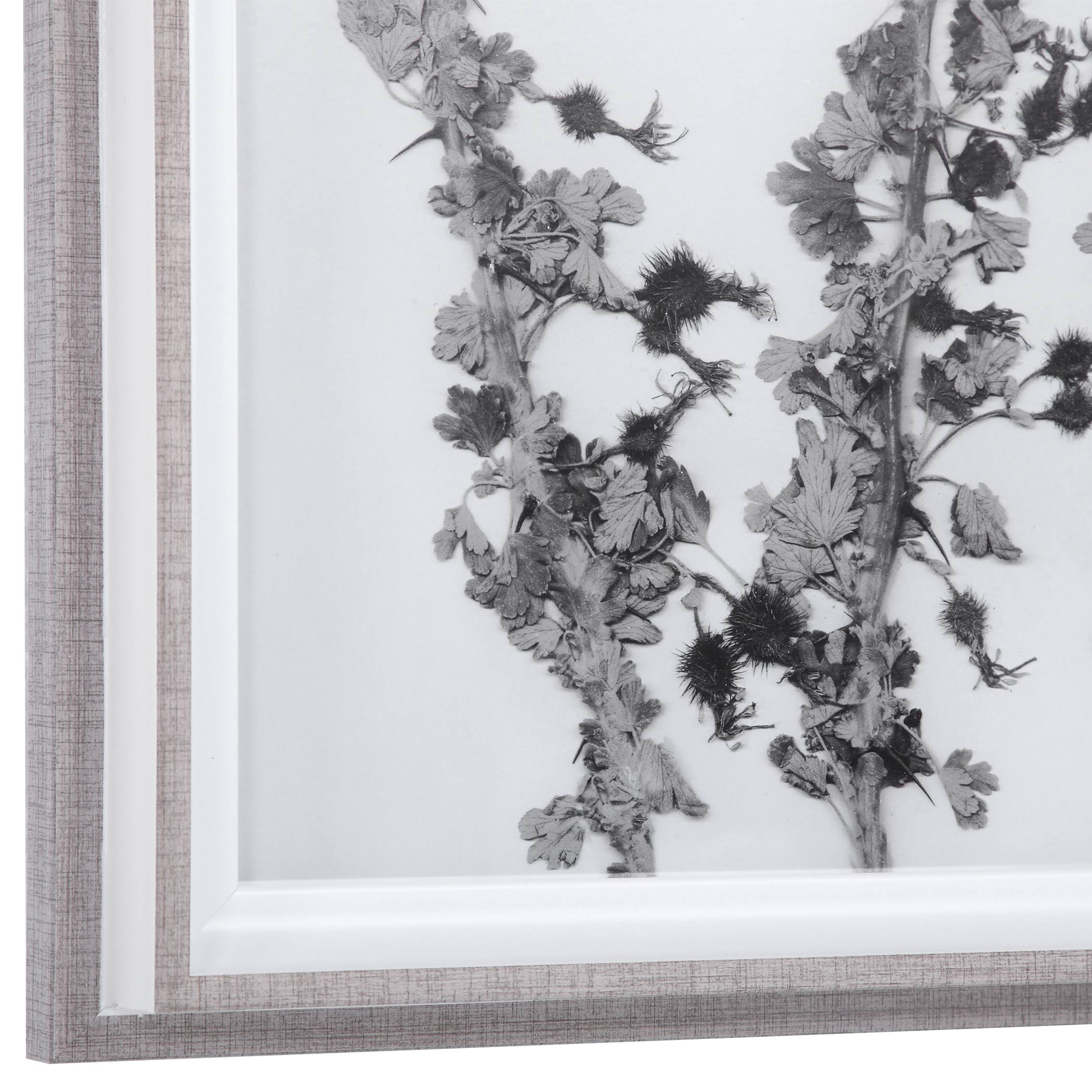 Uttermost - 33713 Contemporary Botanicals Framed Prints (Set of 12)