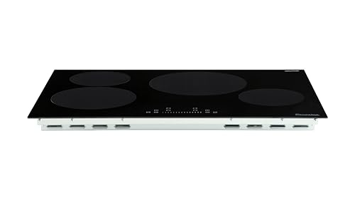 Rangaire Induction Cooktop