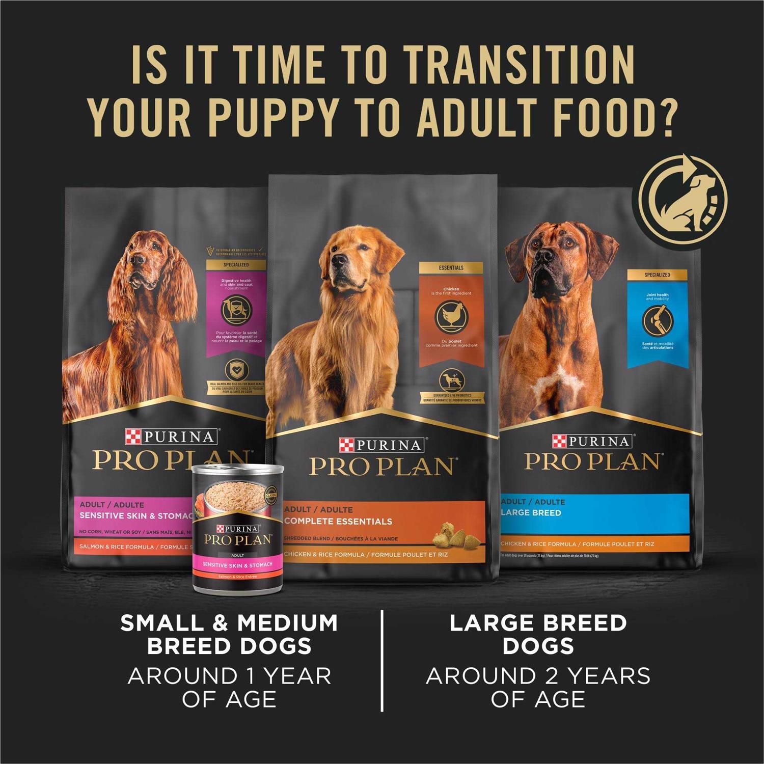 Purina Pro Plan Sensitive Skin &amp; Stomach Dry Puppy Food - Pet Supplies online store