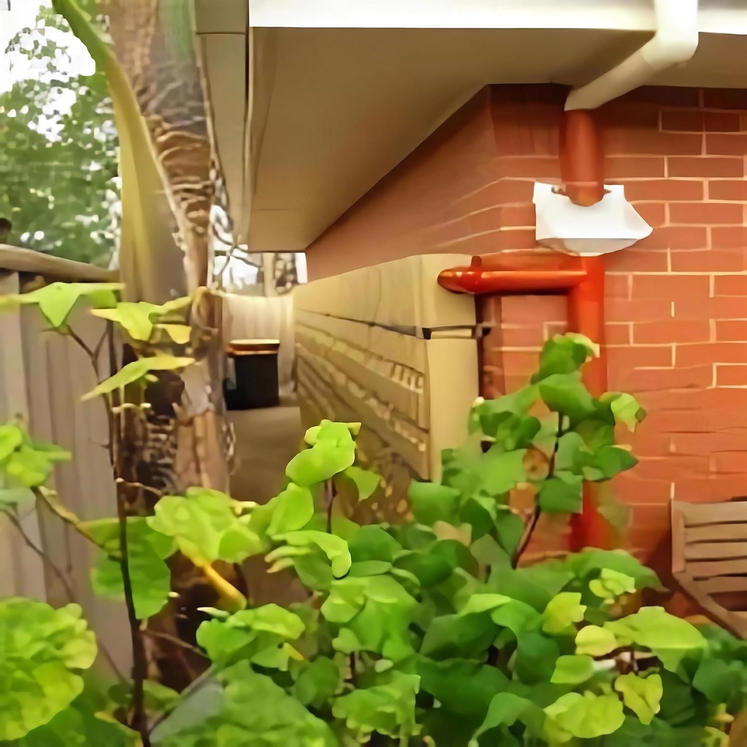 Premium Rainwater Harvesting: Save up to 120 Gallons with 2 Super-Slim Oziflow Rain Barrel Water Tanks & Starting Kit and Connecting Kit. Rainwater Collecting Solution - Spring Sale