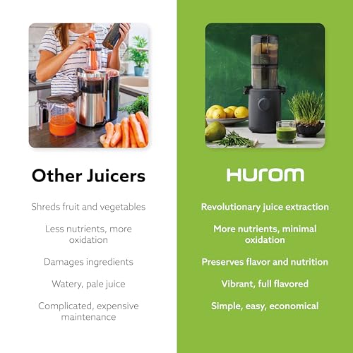 Hurom H310A Personal Self Feeding Slow Masticating Juicer