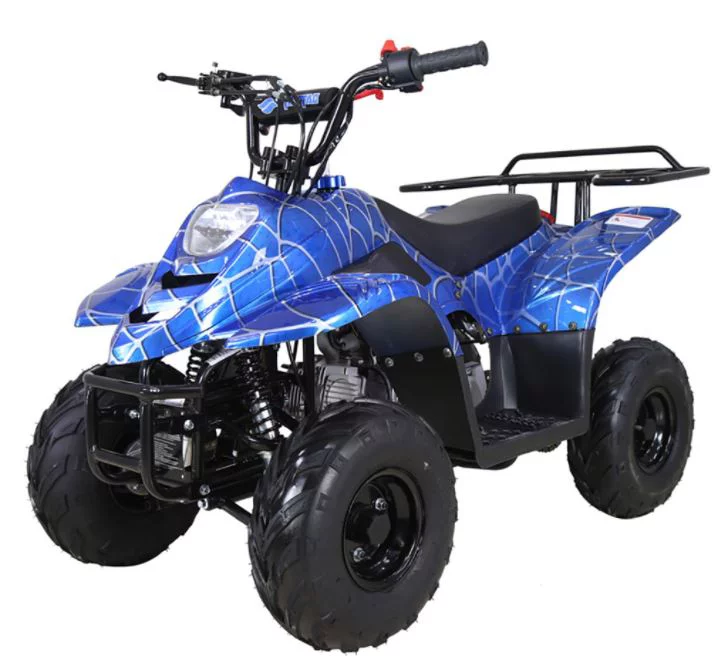 Red Spider Taotao 110cc Raider 6 Kids Air Cool, Single Cylinder ATV
