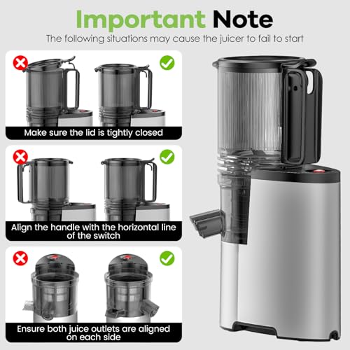 Cold Press Juicer, 5.8" Wide Feed Chute Juice Extractor Machine with 400W, High Juice Yield, Slow Masticating Juicer for Whole Vegetables & Fruits, Metallic Silver