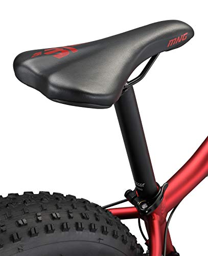 Mongoose Argus Trail or ST Fat Tire Mountain Bike, 20, 24 or 26 Inch Bike for Kids and Adults, 7 or 16 Speed, Aluminum or Steel Frame, Knobby Mountain Fat Tires, Mechanical Disc Brakes