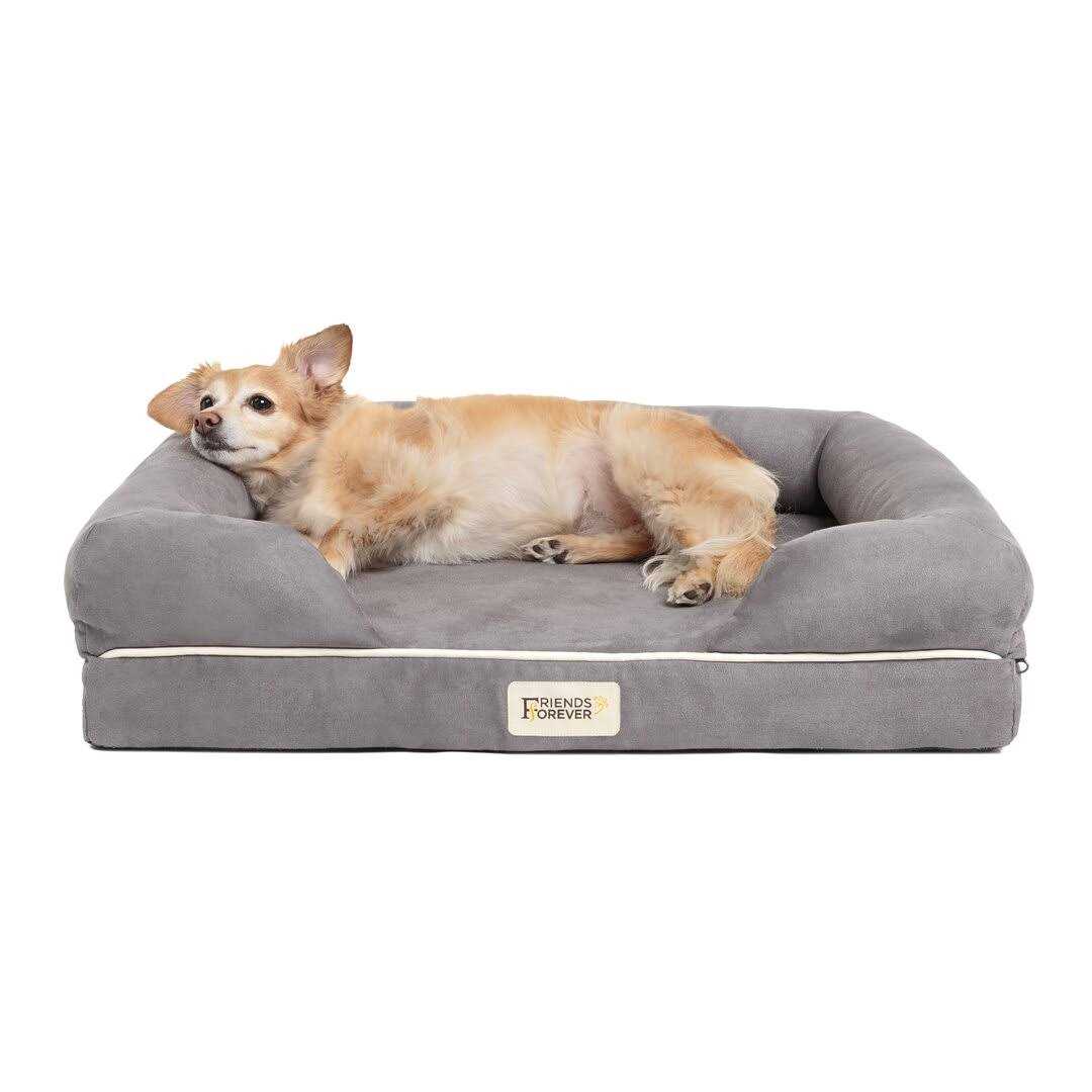 Friends Forever Memory-Foam Orthopedic Dog Bed - Pet Supplies online store