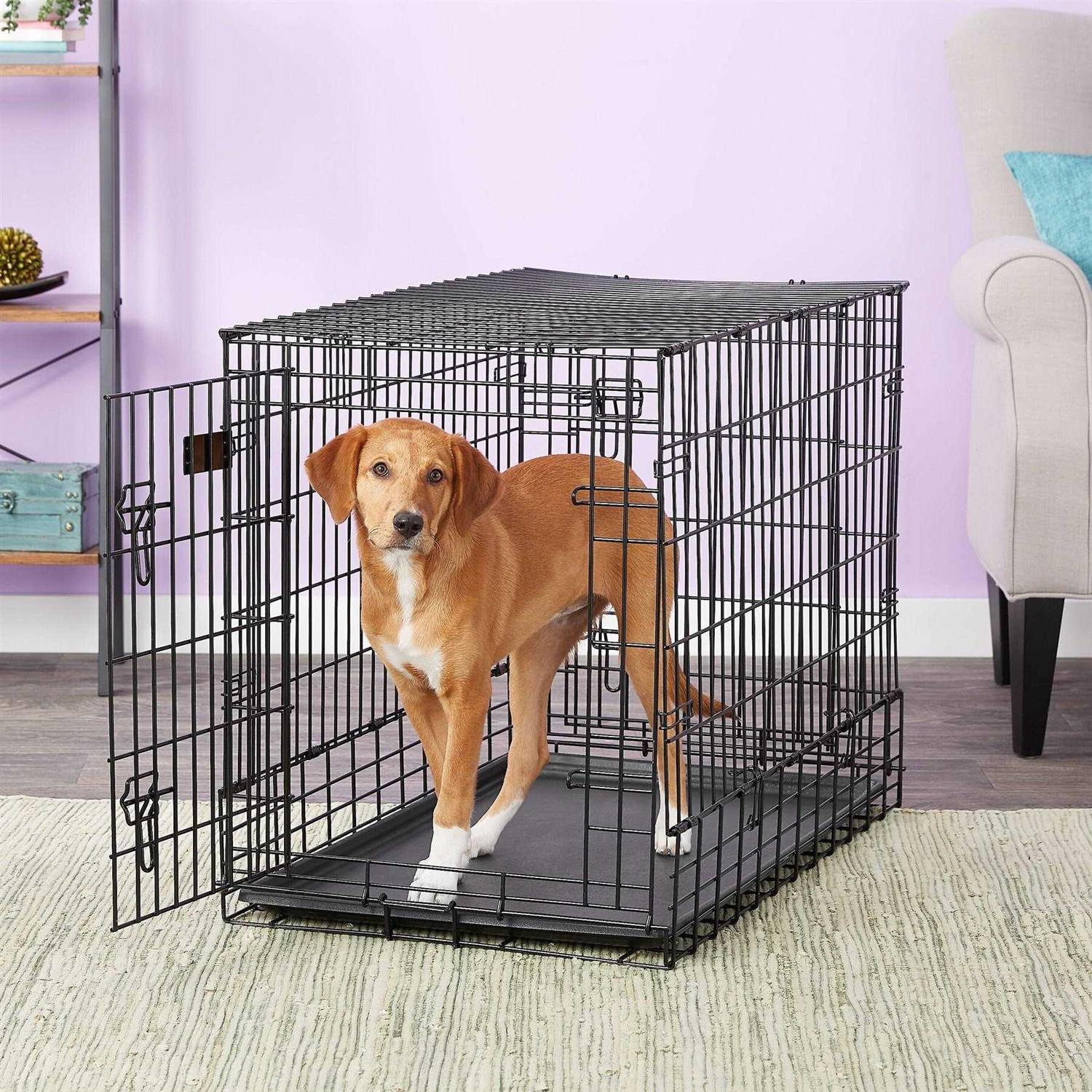 Midwest Side by Side Double Door SUV Dog Crate - Pet Supplies online store