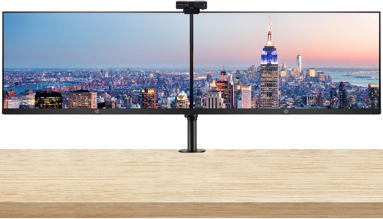 HP P224 21.5 Inch FHD LED-Backlit LCD IPS Anti-Glare Monitor (HDMI, VGA, DisplayPort) 2-Pack Bundle with PW313 Full HD 1080p Live Streamer Webcam and Desk Mount Clamp Dual Monitor Stand
