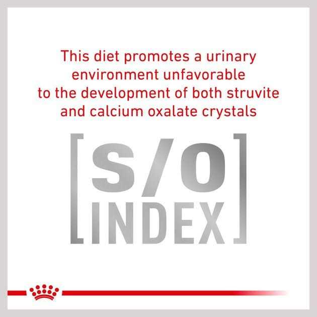 Royal Canin Veterinary Diet Cat Food - Pet Supplies online store