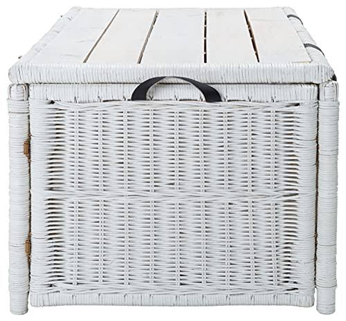 Safavieh Kestin Rattan Storage Trunk - White/Brown