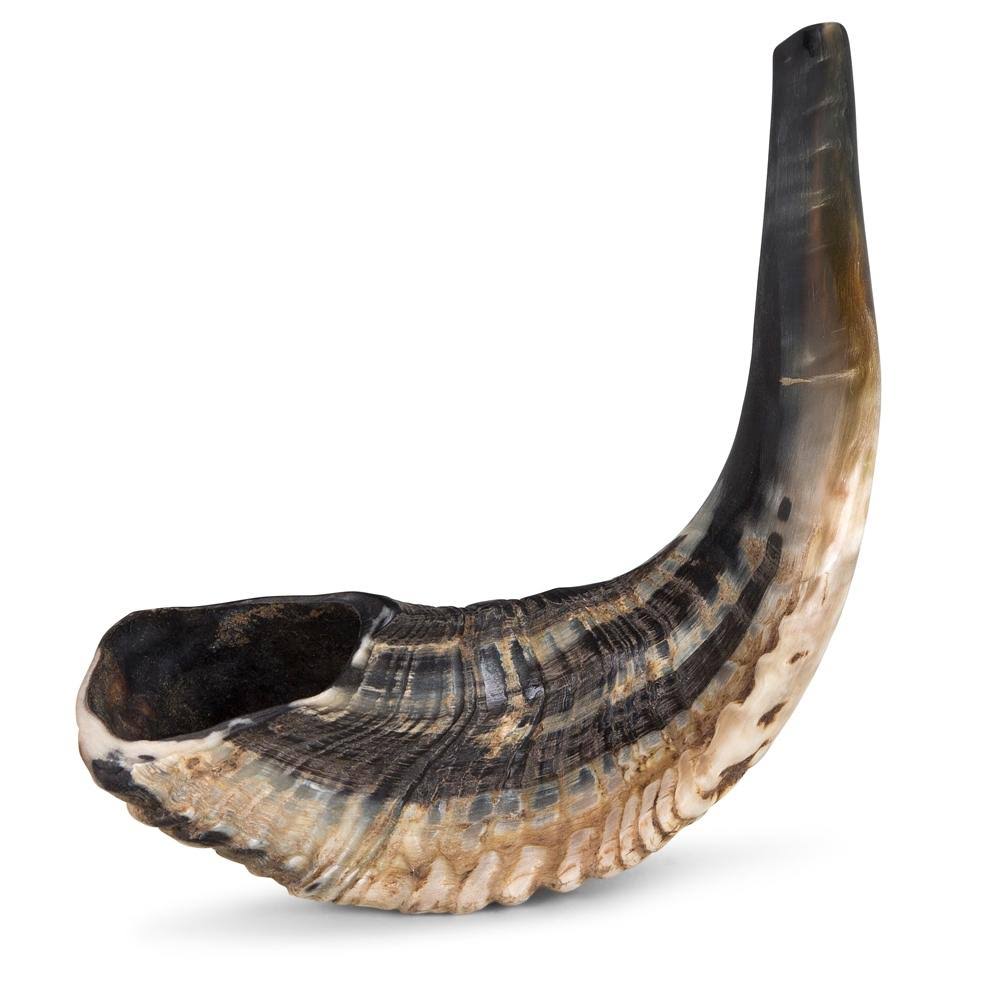 Classical Ram&s Horn Shofar - Medium - Natural Dark