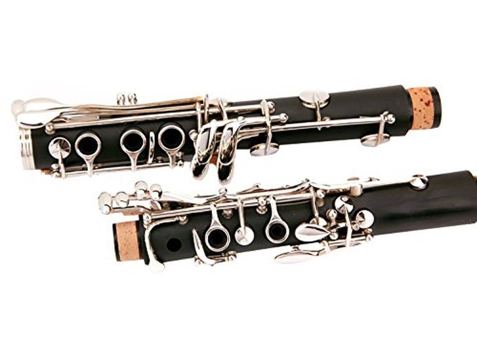 Glory B Flat Clarinet with Second Barrel, 11reeds,8 Pads cushions,case,carekit and More Black/Silver Keys