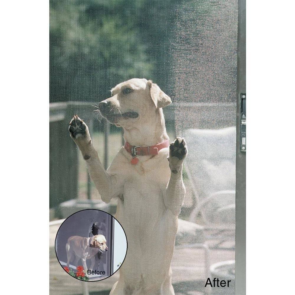 Phifer 60 in. x 25 ft. Black Pet Screen