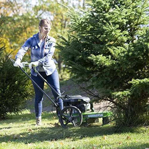 Tazz One-Piece Steel Deck, 22” Cutting Swath, Never Kill, Fold Down Handlebars 35258 Walk-Behind String Mower/Trimmer, 150cc 4-C