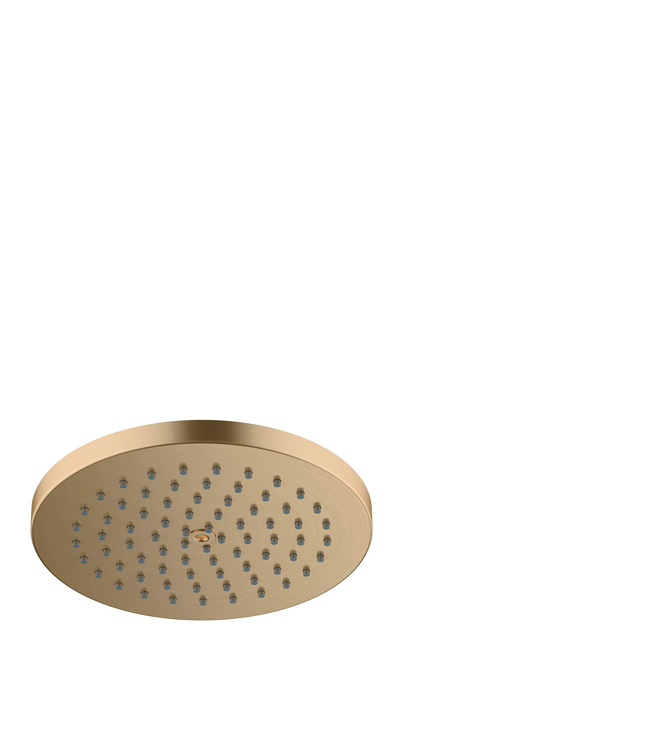 Hansgrohe Raindance S 27629141 Showerhead - Brushed Bronze
