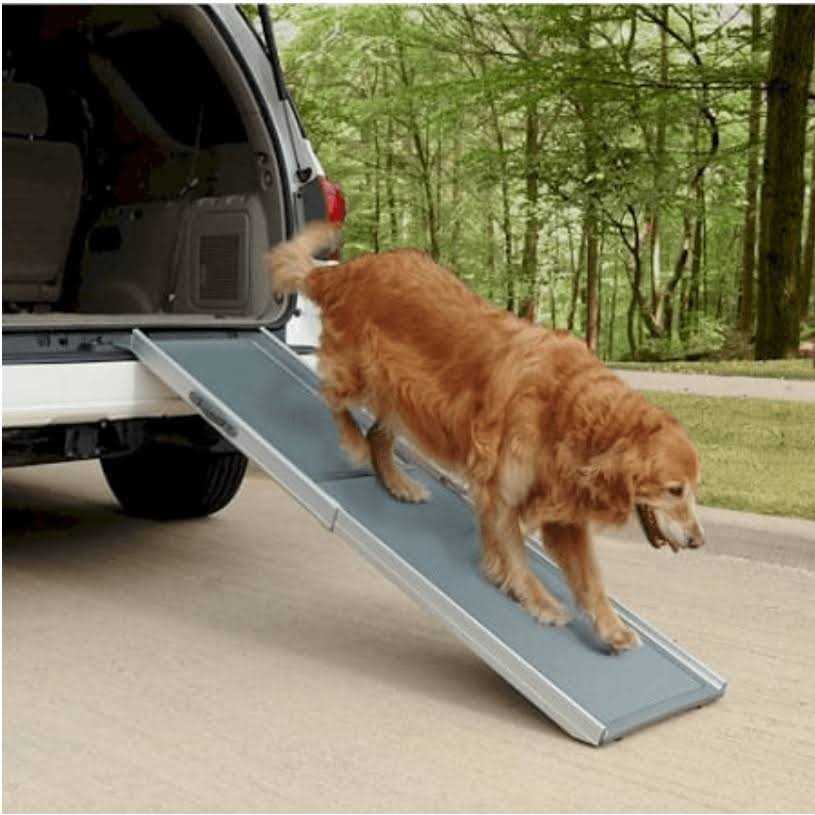 PetSafe Happy Ride Telescoping Dog Ramp - Pet Supplies online store