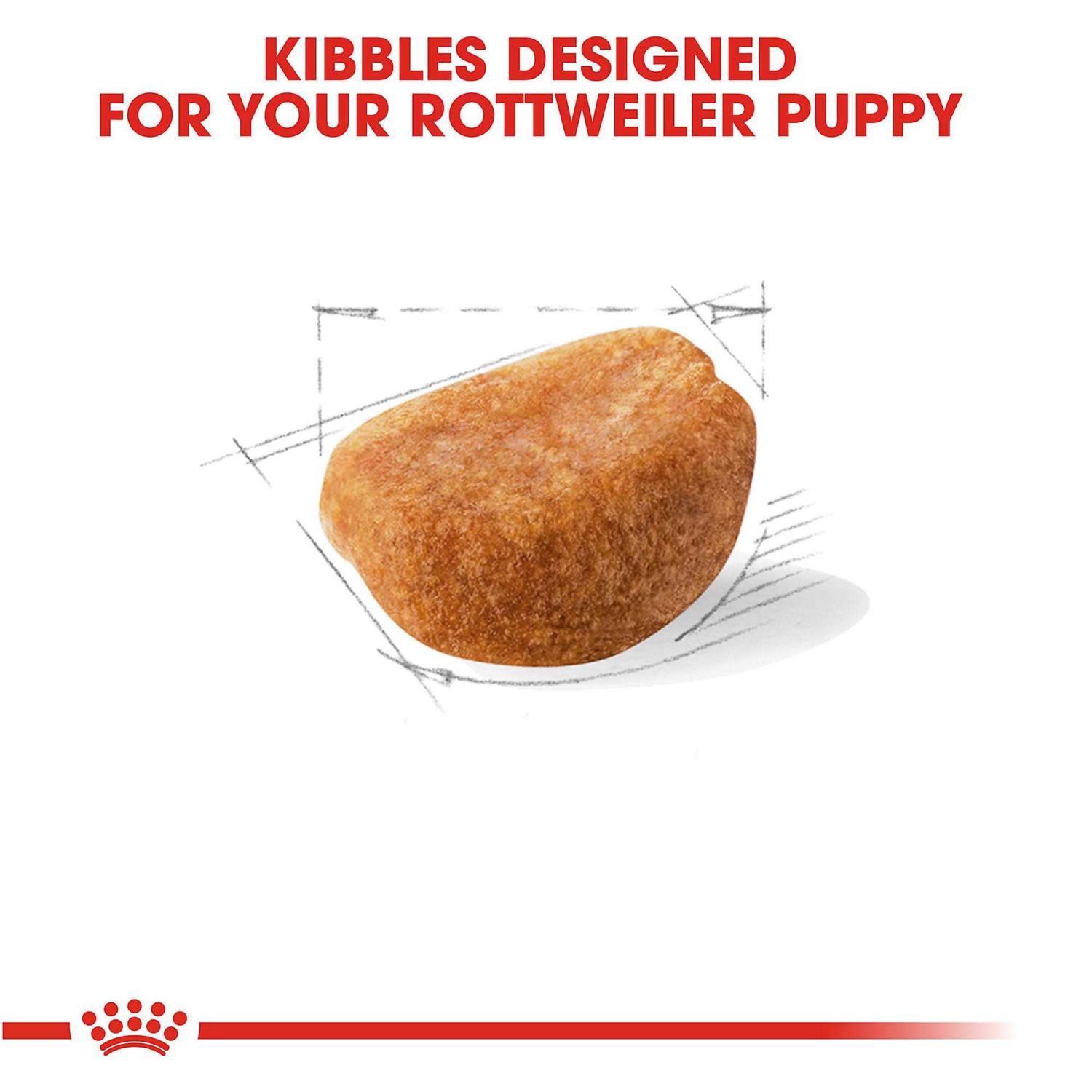 Royal Canin Breed Health Nutrition Rottweiler Puppy Dry Dog Food - Pet Supplies online store