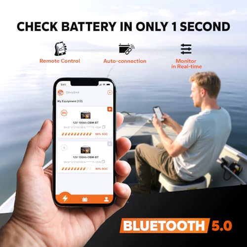 LiTime 12V 100Ah LiFePO4 Battery BCI Group 31 Lithium Battery Built-in 100A BMS, Up to 15000 Deep Cycles, Perfect for RV, Marine, Home Energy Storage