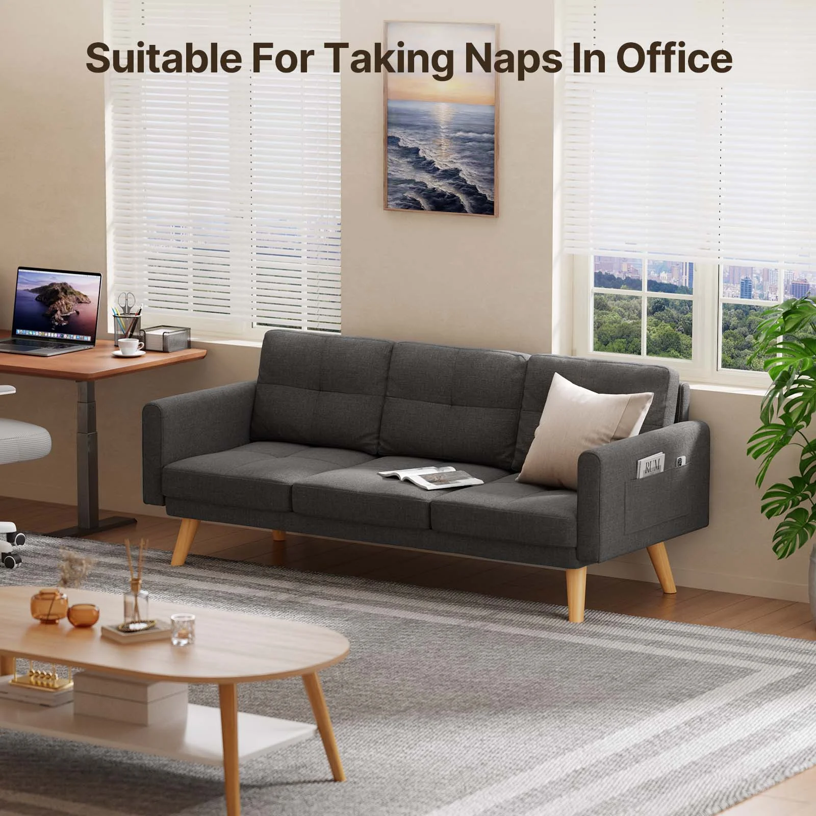 Lofka Futon Sofa Bed, Modern Sofa and Upholstered Couch with Curved Arm, Dark Gray