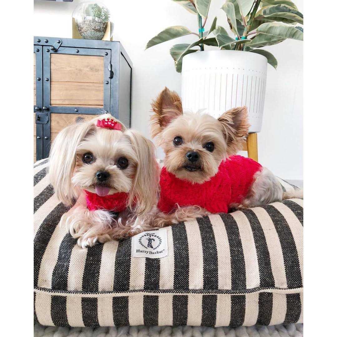 Harry Barker Vintage Stripe Envelope Dog Bed - Pet Supplies online store